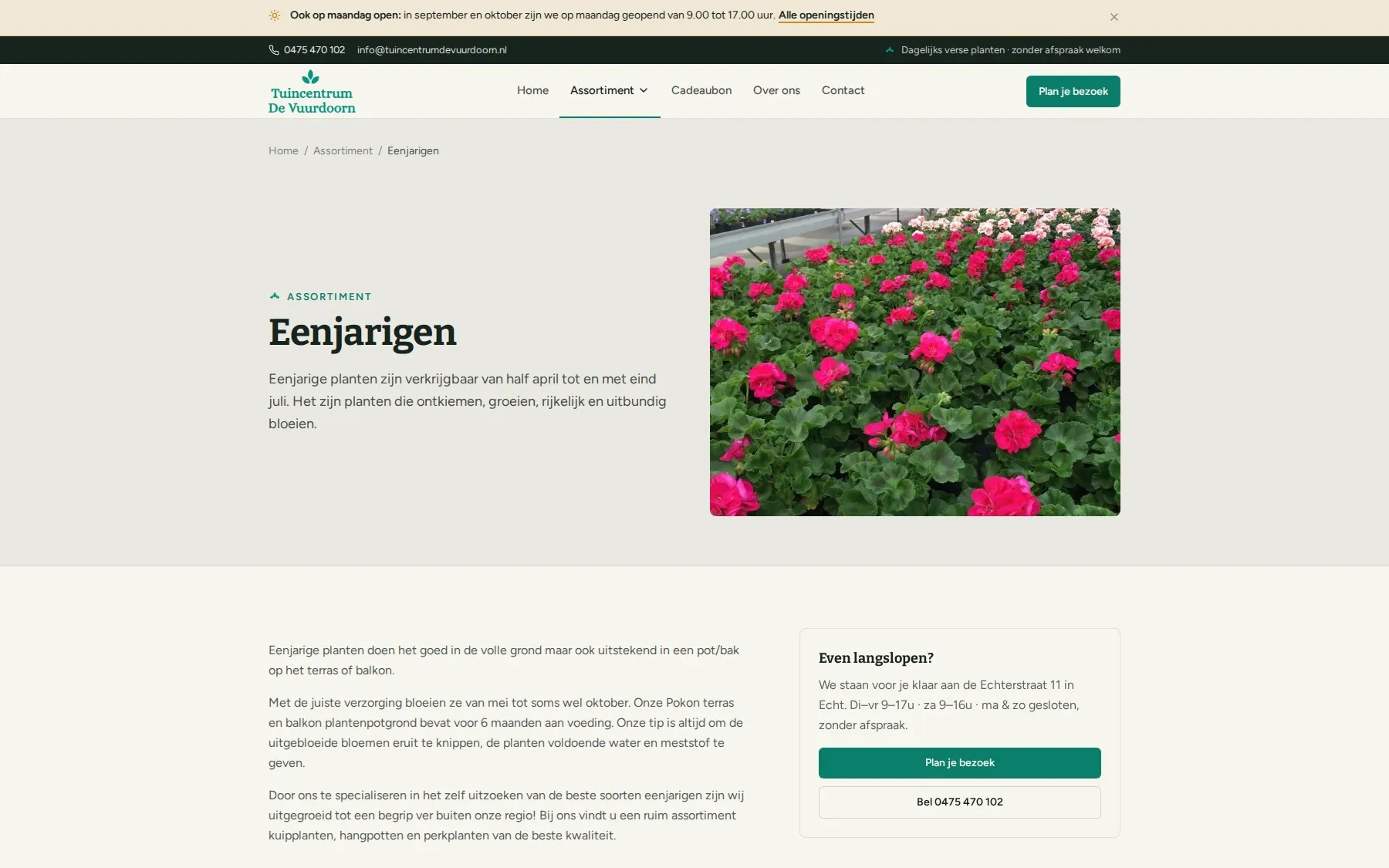De pagina over eenjarigen van Tuincentrum de Vuurdoorn met een foto van geraniums